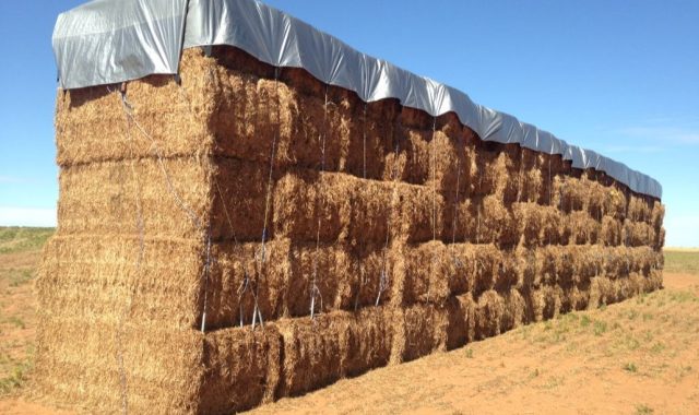 paddy-straw-bales